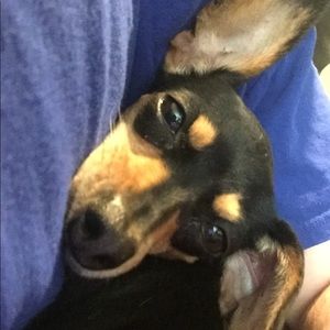 Meet your Posher, Traci